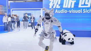 色久视频在线播放
